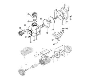 Bomba Kng Ie3 2Cv Tri 26,2 M³/ photo
