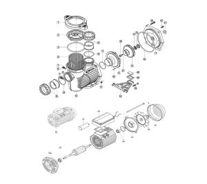Bomba Koral-Kpr Kripsol 2,5Cv photo