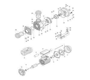 Bomba Karpa Ie3 2,5 Cv Tri 44 photo