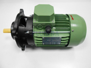 MOTOR 3 HP 220/380 photo