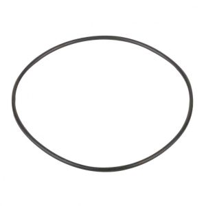 Flange gasket for pump SS Pool Zone photo