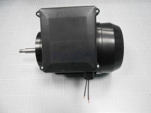 MOTOR 3/4 HP II photo