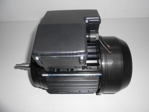 MOTOR 1,5 HP II photo