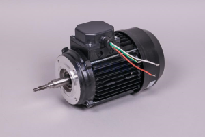 MOTOR 3 HP III photo