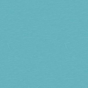 41120006_318903_41120006.jpg