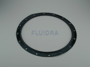 JUNTA TÓRICA TAMPA photo