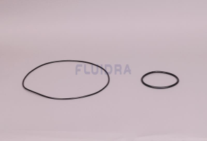 JUNTA UNIÃO DO CORPO photo