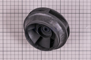 RODÍZIO 2 HP photo