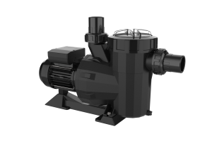 Victoria Plus 2,5 HP II 30,5m3/h (30,5m3/h @ 10mca) photo