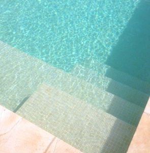 54324_239657_imagenpiscina54324_67144.jpg
