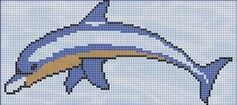 DELFIN1_102_DELFIN1_102_70353_AP_FOT_21968_Dolphin_.jpg