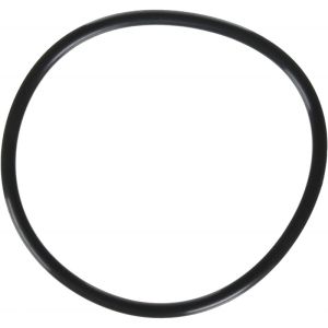 LID O-RING photo